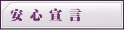 ���S�錾